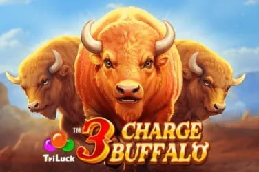 5bet